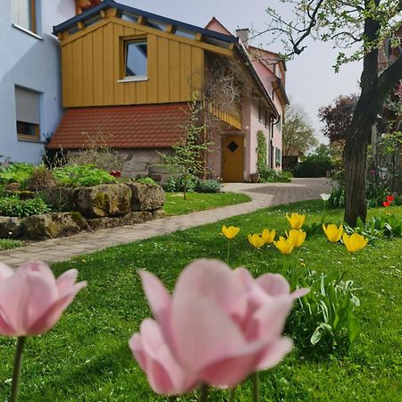 Ferienwohnung Wiesenhof Neuhof an der Zenn Extérieur photo